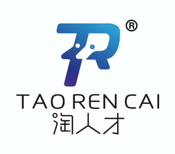 人力资源服务与技术咨询的融合发展 现代企业的战略伙伴之路